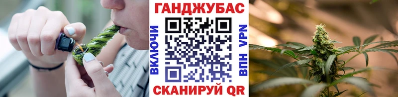 Бошки Шишки планчик  Губкин 